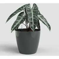 Artevasi San Remo Pot Sws Anthracite 2 Pièce(S)