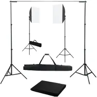 vidaXL Kit de studio photo avec boîtes à lumière et toile de fond