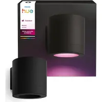 Philips Hue Muscari Spot Mural Extérieur
