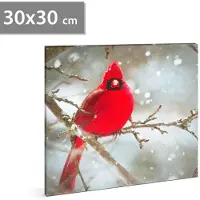 HomeShopXL GLOBIZ LED - Tableau lumineux - Rouge cardinal - 30 x 30 cm