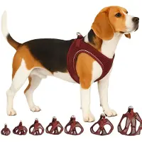 Flamingo Harnais Pour Chien Step&go Bento