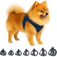 Flamingo Vaisselle Step & Go Bento bleu foncé, taille : S