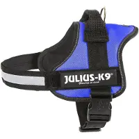 JULIUS K-9 Powerharnais, Taille 0-3 82–115 cm/50 mm bleu