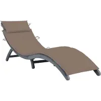 vidaXL Chaise longue avec support Gris Bois massif Acacia