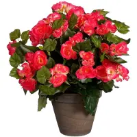 Mica Decorations Plante artificielle - bégonia - rose foncé - en pot - 37 cm - fausses plantes
