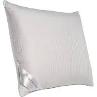 Ducky Dons Oreiller Ducky Dons Plumes de Canard 1400 g (60 x 70 cm)