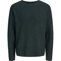 Jack & Jones Pull-over 'JPRBLUMason' vert foncé