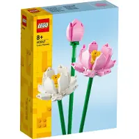 LEGO Iconic 40647 Les fleurs de lotus