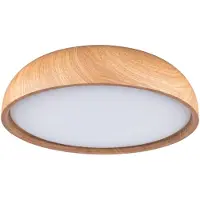 Paulmann Selection : Plafonnier LED pour salle de bain Oka