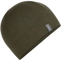Icebreaker 260 Quantum Beanie Vert