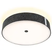 Paulmann LED Plafonnier Malika