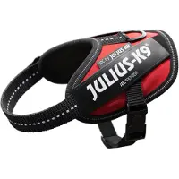 JULIUS K-9 Julius K9 - Harnais pour chien - rouge - Taille Baby (2 - 33-45 cm)