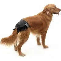 Savic Couche Jetable Pour Chien Comfort Nappy T7 74-84 Cm 12 Unités