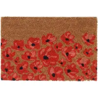 vidaXL Tapis de porte naturel 40x60 cm fibre de coco touffeté