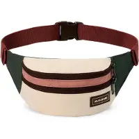 Dakine Classic T2-r Waist Bag Rouge