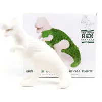 Mags Chia Saurus - Décoration intérieure (Pousses)
