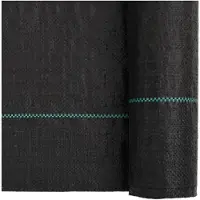 vidaXL Membrane anti-mauvaises herbes noir 2x150 m PP