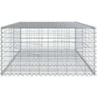vidaXL Gabion avec couvercle 200x100x50 cm Fer galvanisé