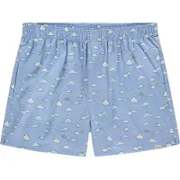 Pockies Boxers 'Blue Dream' bleu clair / gris / noir