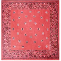 Pepe Jeans Mouchoir Felicy
