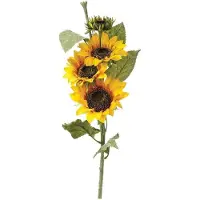 Atmosphera 110350