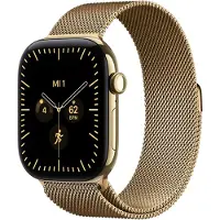 Apple Watch Series 12 GPS + Cellular 46 mm Boîtier en titane Radiant Gold avec Milanese Loop Radiant Gold - S/M