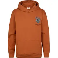 Petrol Industries Sweat à Capuche B-3060-swh340