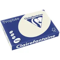 Clairefontaine Gris perle A3 Papier couleur 160 g/m² (250 feuilles)