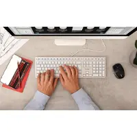Cherry KC 6000C FOR MAC - Clavier - USB-C - US - commutateur : SX - argent