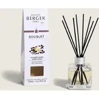 Maison Berger Bâtonnets Parfumés Maison Berger Glaçon 100ML Poussière D'Ambre