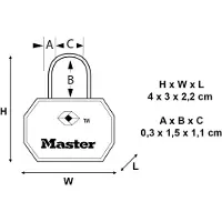 Master Lock Masterlock lot de 2 cadenas 30mm protection plastique abs