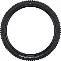 Schwalbe Pneu VTT Tubeless Arrière 29 pouces, conçu pour la descente, offrant une adhérence renforcée – Performance Gravity Enduro –