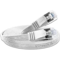 Lightwin Câble de réseau (F/FTP, CAT6, 0.25 m)
