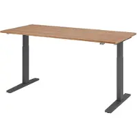 Hjh OFFICE PRO Bureau réglable en hauteur XMKA | 2 moteurs | 120-180 cm | électrique | noyer, Couleur du piètement:graphite, Dimension du plateau:180 x 80 cm