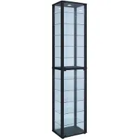 VCM Bois verre vitrine de collection vitrine de verre vitrine de stand vitrine Kavisa XXL Bois verre vitrine de collection vitrine de verre vitrine de stand vitrine Kavisa XXL