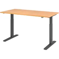Hjh OFFICE PRO Bureau réglable en hauteur XMKA | 2 moteurs | 120-180 cm | électrique | hêtre, Couleur du piètement:graphite, Dimension du plateau:160 x 80 cm