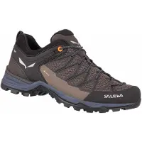 Salewa Chaussures de randonnée Mtn Lite