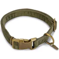 Designed By Lotte Collier De Chien Velura