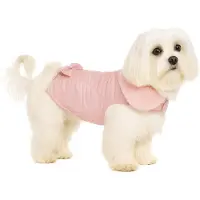 Flamingo Manteau Pour Chien Guzzi