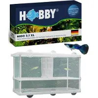 HOBBY Aquaristik Nido 3.1 XL, 250 mm, 145 mm, 150 mm, Emballage