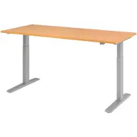 Hjh OFFICE PRO Bureau réglable en hauteur XMKA | 2-moteurs | 120-180 cm | électrique | hêtre, couleur:argent, taille du plateau:180 x 80 cm