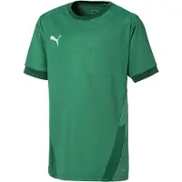 Puma Garçons, T-shirt de sport, teamGOAL 23 Jersey jr-704160 (128), Vert, 128