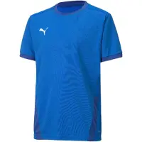 Puma Chemise Teamgoal 23 Jersey 70416002