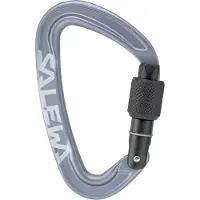 Salewa Mousqueton Ortles Screw