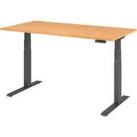 Hjh OFFICE PRO Bureau réglable en hauteur XDKB | 2-moteurs | 120 - 180 cm | électrique, Dimension plateau:160 x 80 cm, Couleur plateau:Hêtre, Couleur piétement:Graphite