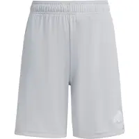 Adidas Pantalon de sport 'Ent26' gris clair