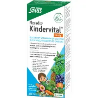 Salus Floradix Kindervital Enfants Fruity 250 ml Solution(S)