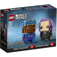 LEGO Kingsley Pinwheel et Nymphadora Tonks - BrickHeadz 40618