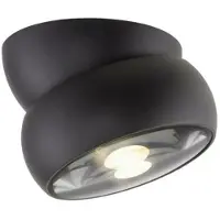 Paul Neuhaus Projecteur noir monté en surface Pure Move Ø 11cm - Plomb