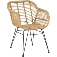 Idimex Lot De 2 Chaises De Jardin Paramo Imitation Rotin, Fauteuil Pour Terrasse Ou Balcon En Polyrattan Résistant Aux Uv Et Métal Noir